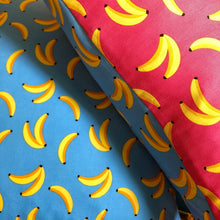 Load image into Gallery viewer, Pink and Blue Banana Cushions
