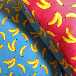 Pink and Blue Banana Cushions